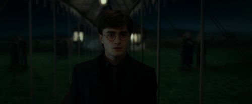 RdM1-Potterish3216.jpg