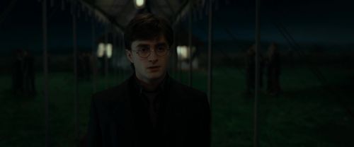 Click to view full size image
==============
RdM1-Potterish3217.jpg RdM1-Potterish3217.jpg