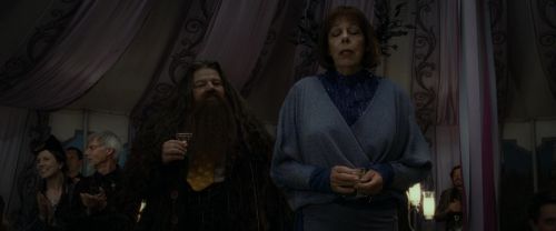 RdM1-Potterish3246.jpg