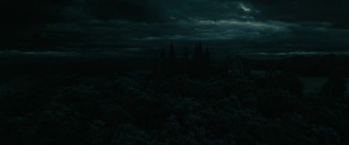 RdM1-Potterish353.jpg