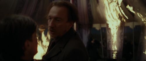 RdM1-Potterish3634.jpg