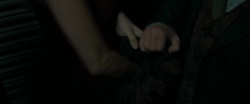 RdM1-Potterish3702.jpg
