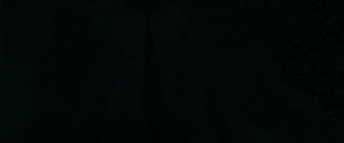 RdM1-Potterish377.jpg