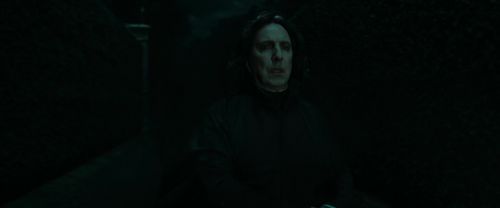 RdM1-Potterish379.jpg