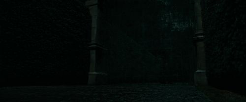 Click to view full size image
==============
RdM1-Potterish381.jpg RdM1-Potterish381.jpg