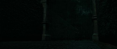 Click to view full size image
==============
RdM1-Potterish383.jpg RdM1-Potterish383.jpg