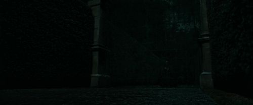RdM1-Potterish384.jpg