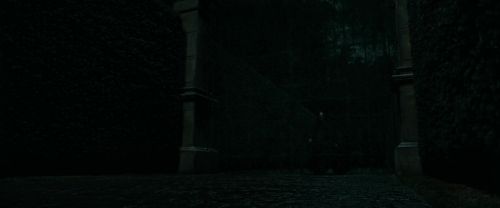 RdM1-Potterish386.jpg