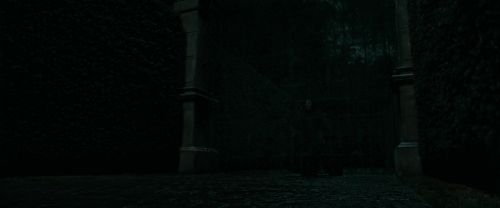 Click to view full size image
==============
RdM1-Potterish388.jpg RdM1-Potterish388.jpg