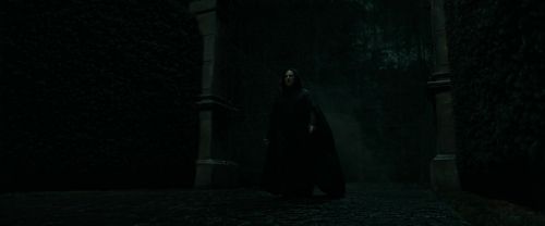 RdM1-Potterish391.jpg
