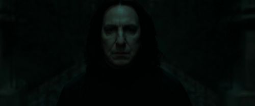 RdM1-Potterish393.jpg