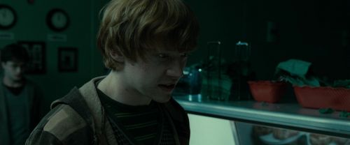 Click to view full size image
==============
RdM1-Potterish3934.jpg RdM1-Potterish3934.jpg