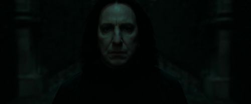 RdM1-Potterish395.jpg