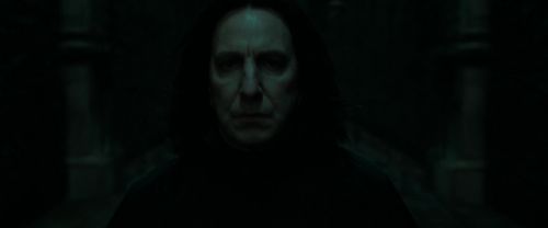 RdM1-Potterish396.jpg