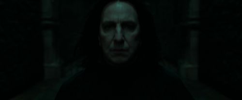 RdM1-Potterish398.jpg