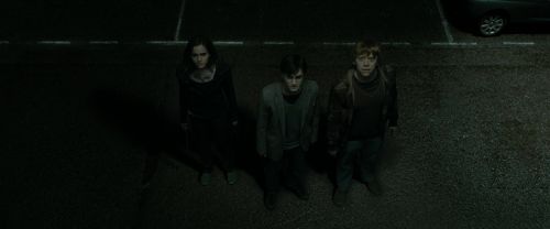 RdM1-Potterish4095.jpg