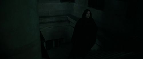 RdM1-Potterish417.jpg