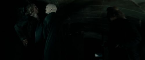 RdM1-Potterish4208.jpg