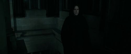 RdM1-Potterish421.jpg