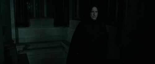 RdM1-Potterish422.jpg