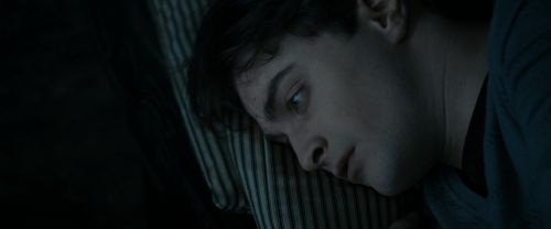 RdM1-Potterish4220.jpg