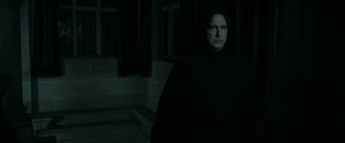 RdM1-Potterish423.jpg