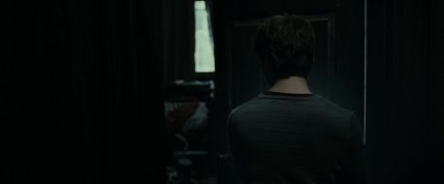 RdM1-Potterish4295.jpg