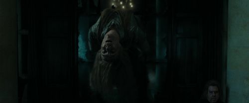RdM1-Potterish436.jpg