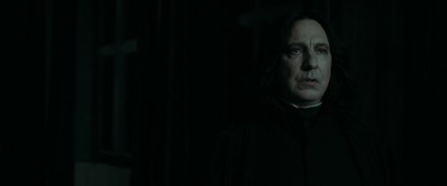RdM1-Potterish437.jpg