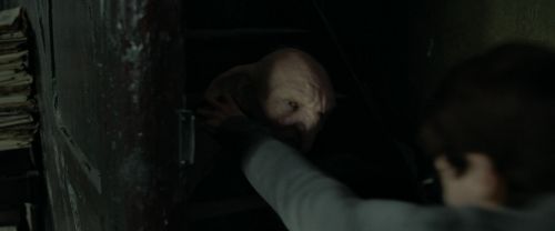 RdM1-Potterish4446.jpg