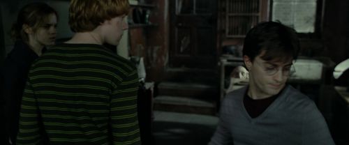 RdM1-Potterish4470.jpg