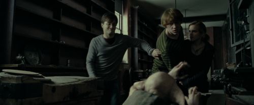 Click to view full size image
==============
RdM1-Potterish4515.jpg RdM1-Potterish4515.jpg