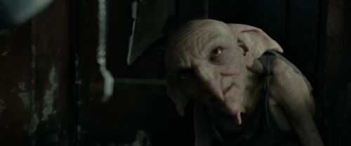 RdM1-Potterish4596.jpg