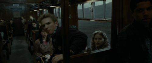 RdM1-Potterish4645.jpg