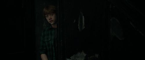 RdM1-Potterish4924.jpg