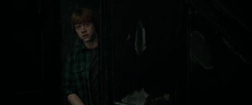 RdM1-Potterish4925.jpg