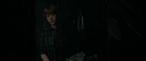 RdM1-Potterish4926.jpg