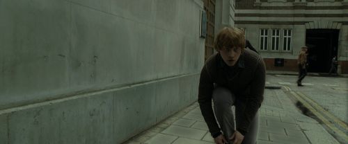 RdM1-Potterish5098.jpg