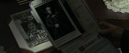 RdM1-Potterish5818.jpg