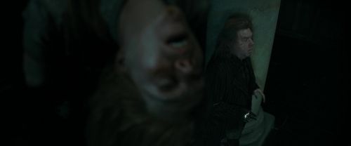 RdM1-Potterish604.jpg