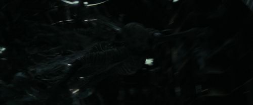 RdM1-Potterish6196.jpg