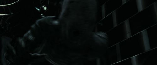 RdM1-Potterish6199.jpg