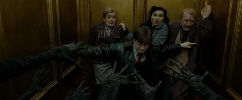 RdM1-Potterish6206.jpg