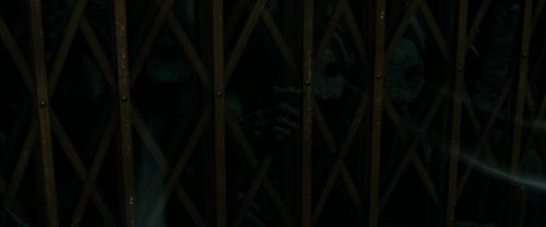 RdM1-Potterish6213.jpg