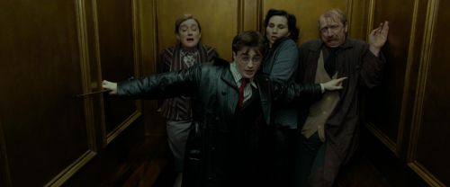 RdM1-Potterish6221.jpg