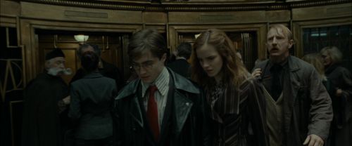 RdM1-Potterish6255.jpg