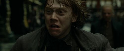 RdM1-Potterish6415.jpg