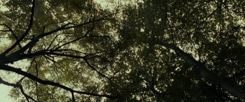 Click to view full size image
==============
RdM1-Potterish6446.jpg RdM1-Potterish6446.jpg