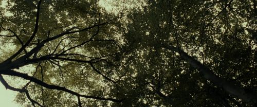 Click to view full size image
==============
RdM1-Potterish6449.jpg RdM1-Potterish6449.jpg