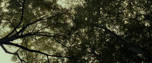 Click to view full size image
==============
RdM1-Potterish6451.jpg RdM1-Potterish6451.jpg